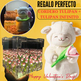 PELUCHE CORDERITO TULIPAN + CAJA DE REGALO