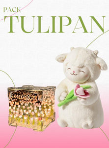 PELUCHE CORDERITO TULIPAN + CAJA DE REGALO